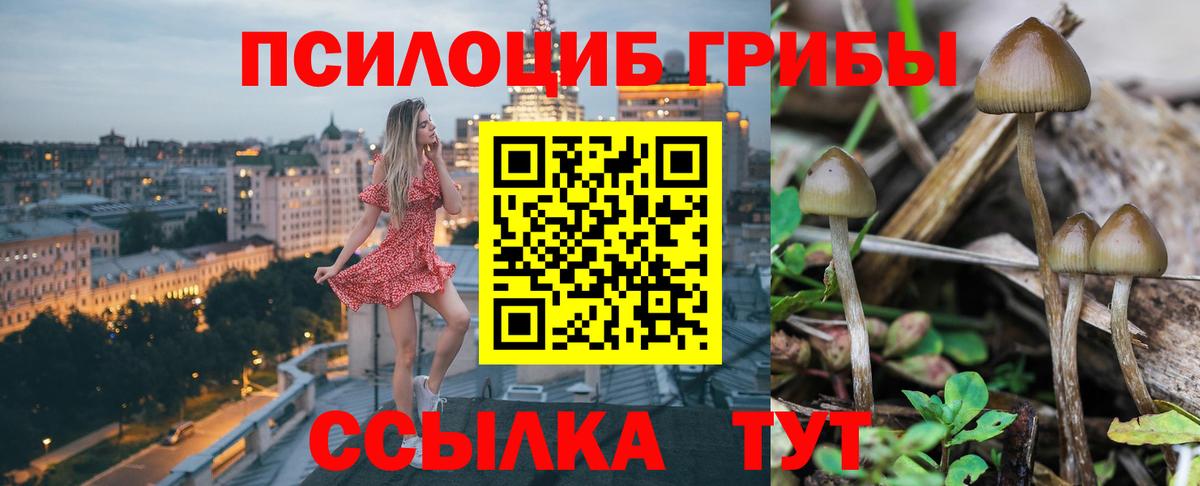 Галлюциногенные грибы ЛСД  Галлюциногенные грибы GOLDEN TEACHER  Балабаново  Вход с VPN 