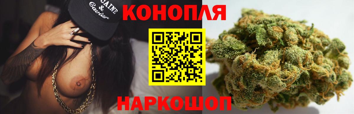 Каннабис планчик Балабаново